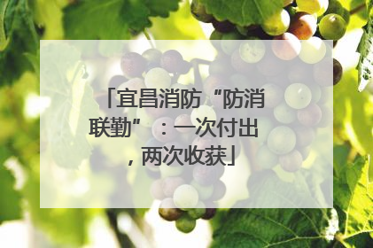 宜昌消防“防消联勤”：一次付出，两次收获