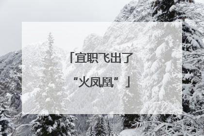 宜职飞出了“火凤凰”