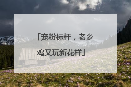 宠粉标杆，老乡鸡又玩新花样