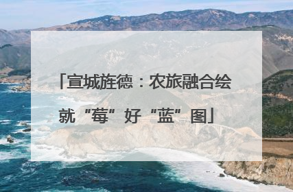 宣城旌德：农旅融合绘就“莓”好“蓝”图