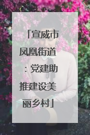 宣威市凤凰街道：党建助推建设美丽乡村