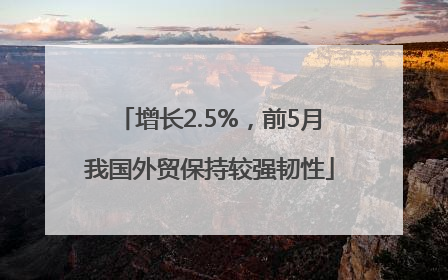 增长2.5%，前5月我国外贸保持较强韧性