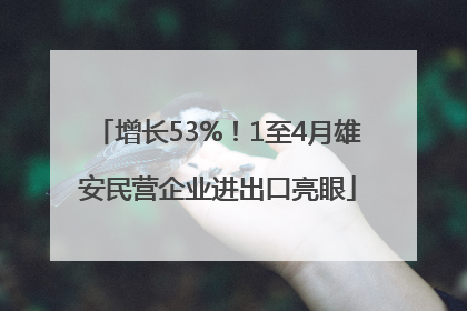 增长53%！1至4月雄安民营企业进出口亮眼