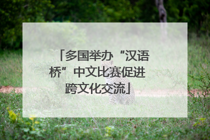 多国举办“汉语桥”中文比赛促进跨文化交流