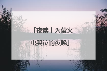 夜读丨为萤火虫哭泣的夜晚