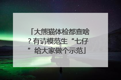 大熊猫体检都查啥？有请模范生“七仔”给大家做个示范