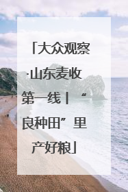 大众观察·山东麦收第一线丨“良种田”里产好粮