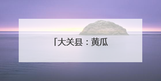 大关县：黄瓜触网销路宽