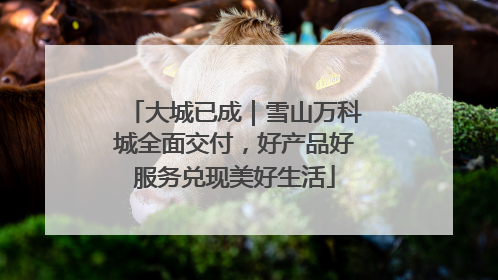 大城已成｜雪山万科城全面交付，好产品好服务兑现美好生活