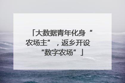 大数据青年化身“农场主”，返乡开设“数字农场”