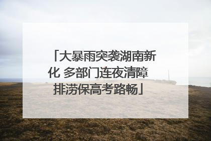 大暴雨突袭湖南新化 多部门连夜清障排涝保高考路畅