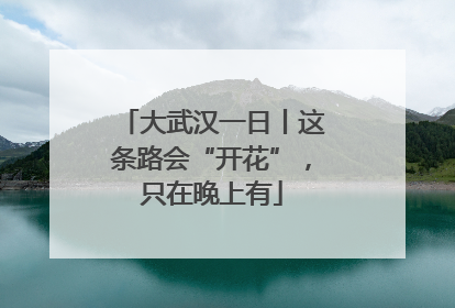 大武汉一日丨这条路会“开花”，只在晚上有