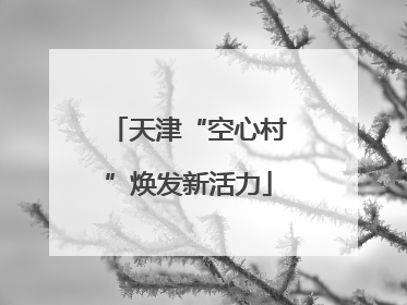 天津“空心村”焕发新活力