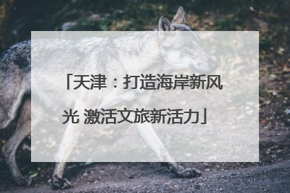 天津：打造海岸新风光 激活文旅新活力