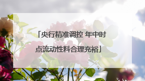 央行精准调控 年中时点流动性料合理充裕
