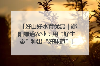 好山好水育优品｜郧阳绿道农业：用“好生态”种出“好味道”