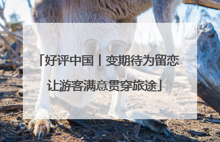 好评中国丨变期待为留恋 让游客满意贯穿旅途