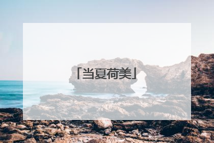 当夏荷美