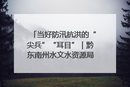 当好防汛抗洪的“尖兵”“耳目”｜黔东南州水文水资源局全员出动为此轮强降雨做好测报工作