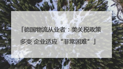德国物流从业者：美关税政策多变 企业适应“非常困难”