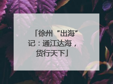徐州“出海”记：通江达海，货行天下