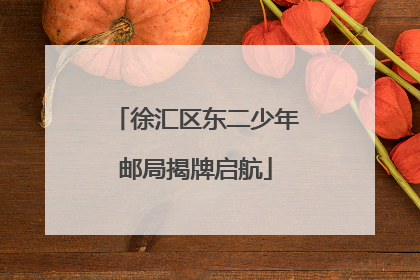 徐汇区东二少年邮局揭牌启航