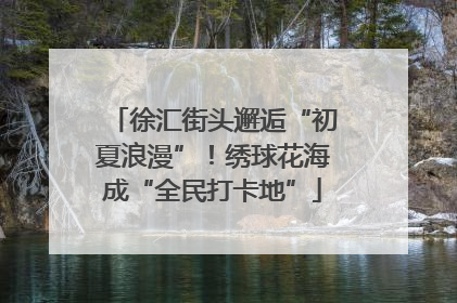 徐汇街头邂逅“初夏浪漫”！绣球花海成“全民打卡地”