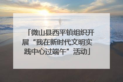 微山县西平镇组织开展“我在新时代文明实践中心过端午”活动