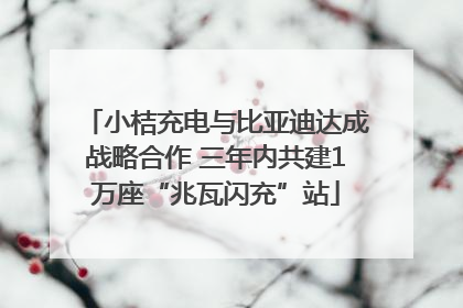 小桔充电与比亚迪达成战略合作 三年内共建1万座“兆瓦闪充”站