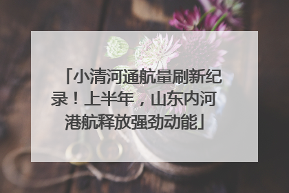 小清河通航量刷新纪录！上半年，山东内河港航释放强劲动能