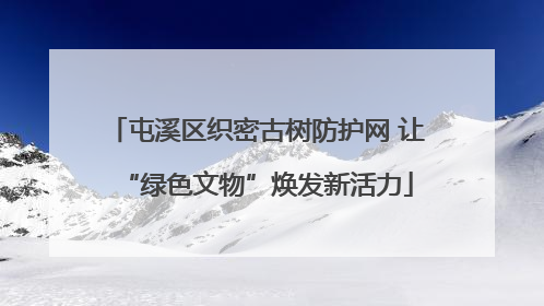 屯溪区织密古树防护网 让“绿色文物”焕发新活力