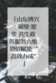 山东博兴：破壁·聚变·共生政务服务六维增值赋能“高效办成”