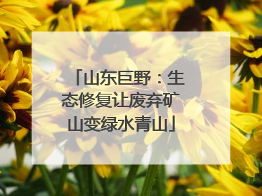 山东巨野：生态修复让废弃矿山变绿水青山