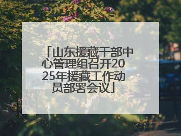 山东援藏干部中心管理组召开2025年援藏工作动员部署会议