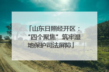 山东日照经开区：“四个聚焦”筑牢湿地保护司法屏障