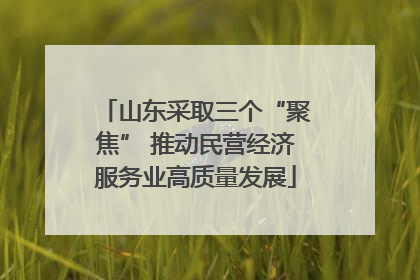 山东采取三个“聚焦” 推动民营经济服务业高质量发展