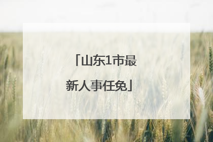 山东1市最新人事任免