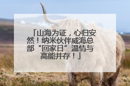 山海为证，心归安然！纳米伙伴威海总部“回家日”温情与高能并存！