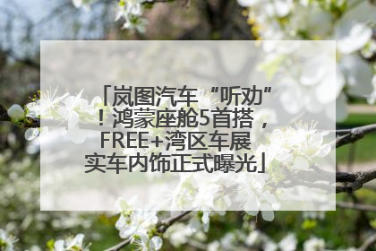 岚图汽车“听劝”！鸿蒙座舱5首搭，FREE+湾区车展实车内饰正式曝光