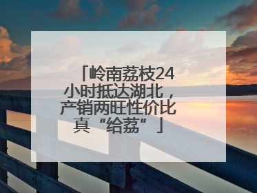 岭南荔枝24小时抵达湖北，产销两旺性价比真“给荔”