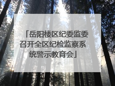岳阳楼区纪委监委召开全区纪检监察系统警示教育会