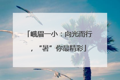 峨眉一小：向光而行，“暑”你最精彩