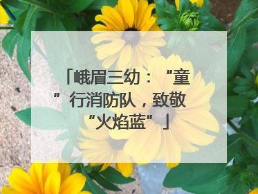 峨眉三幼：“童”行消防队，致敬“火焰蓝”
