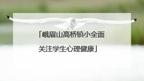 峨眉山高桥镇小全面关注学生心理健康