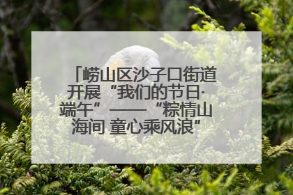 崂山区沙子口街道开展“我们的节日·端午”——“粽情山海间 童心乘风浪”文明实践活动