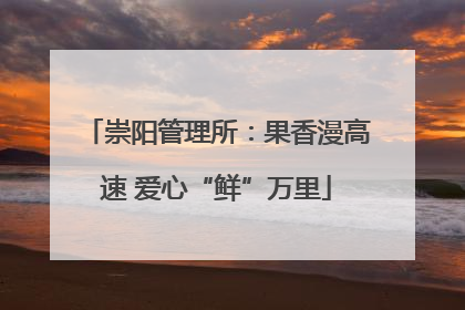 崇阳管理所：果香漫高速 爱心“鲜”万里