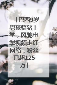 巴西9岁男孩骑猪上学，风驰电掣视频走红网络，粉丝已超125万
