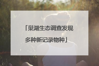 巢湖生态调查发现多种新记录物种