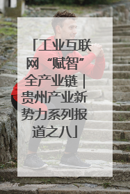 工业互联网“赋智”全产业链｜贵州产业新势力系列报道之八