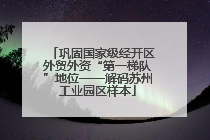 巩固国家级经开区外贸外资“第一梯队”地位——解码苏州工业园区样本